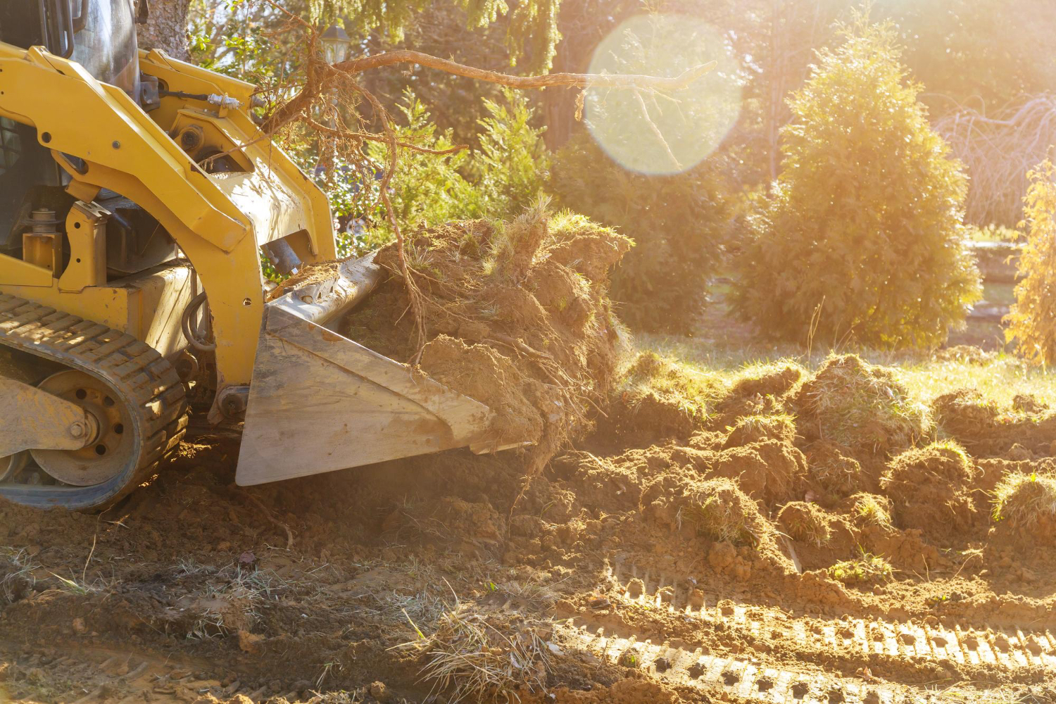 About Clearcut in Southwest Ohio