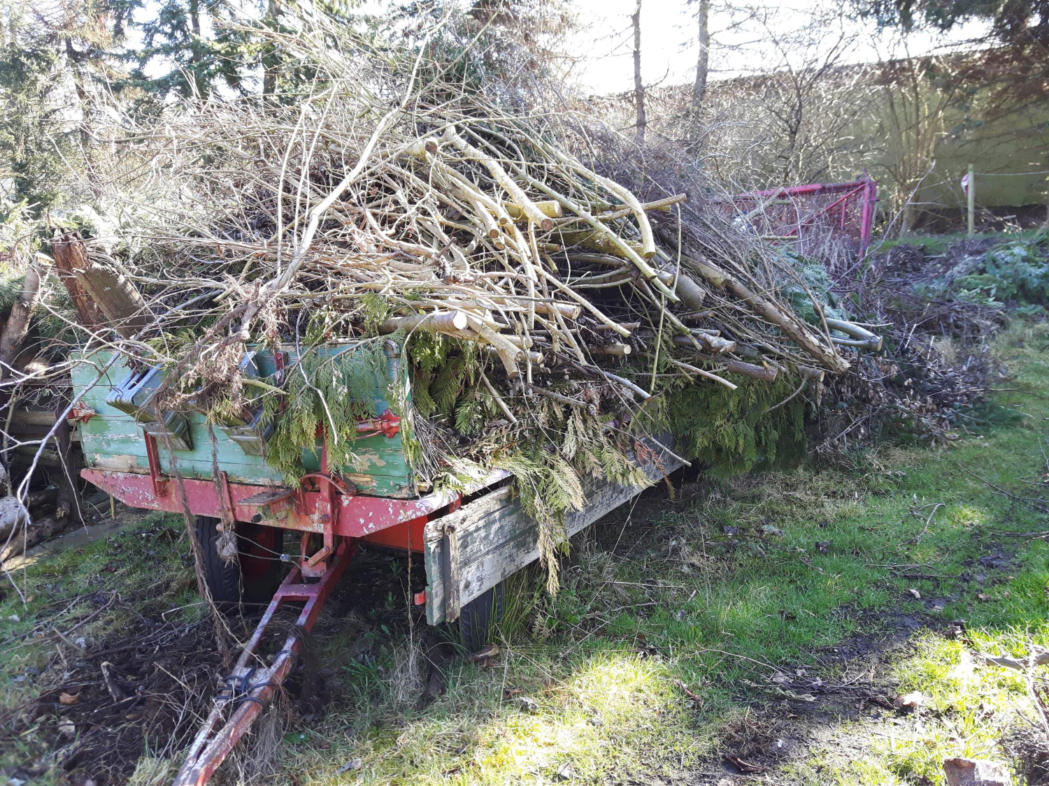 Overgrown Property Clearing Near Me